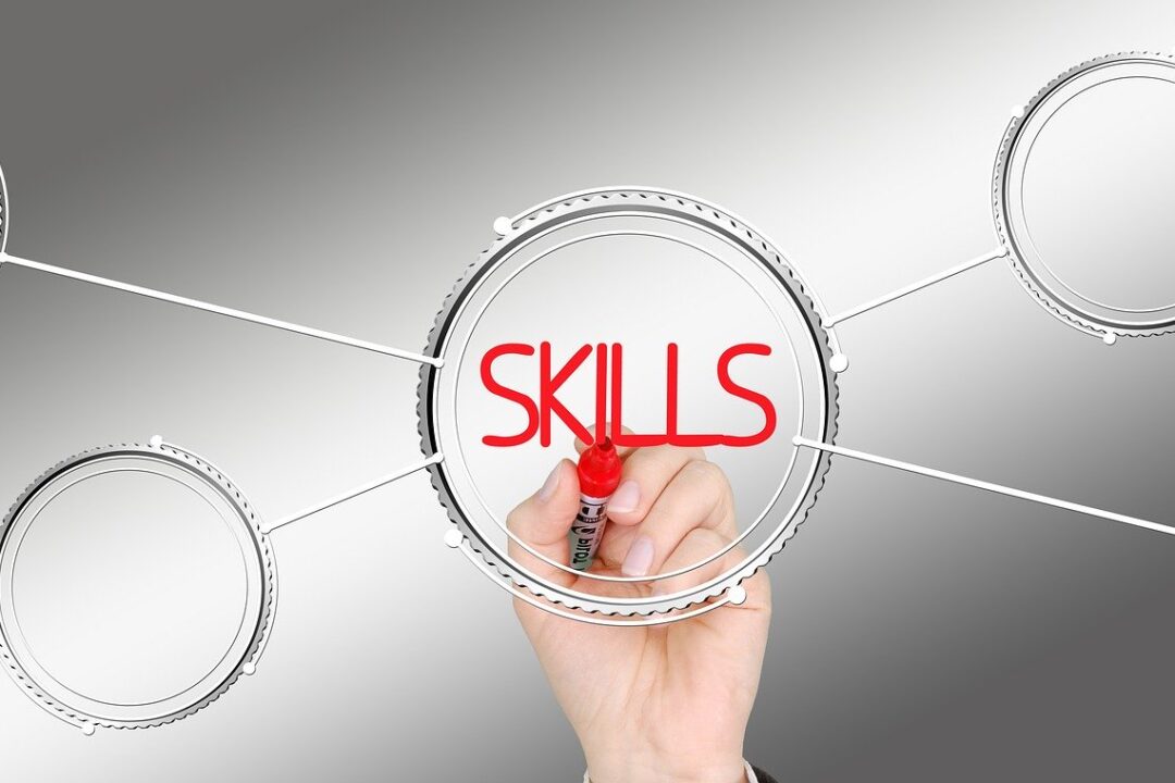 New European Skills Agenda published